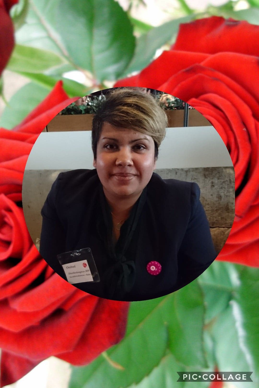 56556970_665983010511788_9133932680105164800_n